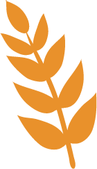 feuille orange