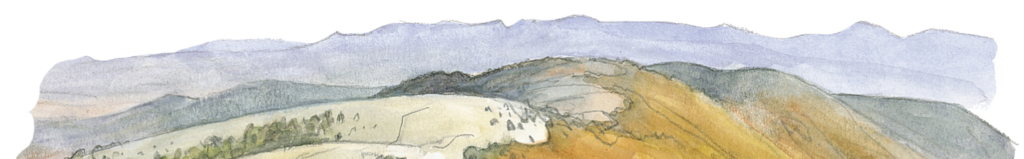 paysage transparent